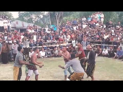 PETINJU KELAS BERAT - Hanes Lape vs Hoga Boawae || Tinju Adat Nataia Boanio ||