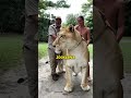 Uncle and the animals final farewell #animals #shortvideo #zoo #love #kangaroo