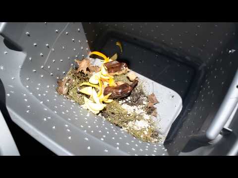 DIY How to Make a Cheap Compost Bin