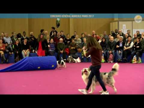 Voir la vidéo : Ring Canins du 03 mars 2017, partie 4