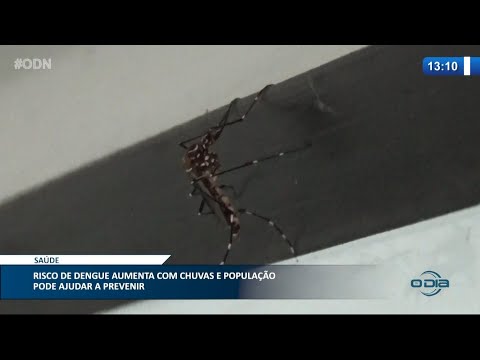 Risco de Dengue aumenta com chuvas e população pode ajudar a prevenir 08 03 2021