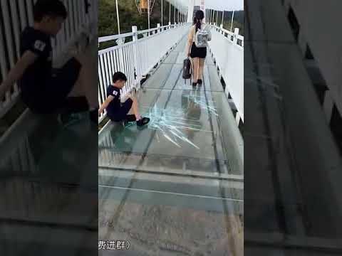 Präparierte Glasbrücke + interesse + NEW/2018