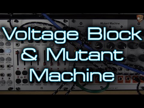 Malekko Voltage Block Eurorack 8 Channel Sequencer Module image 2