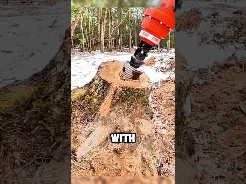 Impressive! Machines That Remove Tree Stumps in Seconds 🌳💥 #shorts