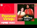 Adharvam Poovaai Virinju Lyric Ilayaraja Mammootty Parvathy Charuhasan