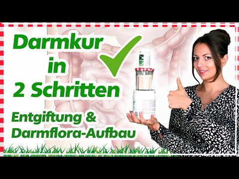 ✅🌿 ANLEITUNG DARMKUR / Darmsanierung mit Zeolith & Flohsamen | DARMFLORA AUFBAUEN mit Probiotika