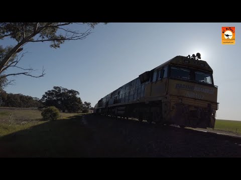 Freight train near Dimboola - Victoria, Australia