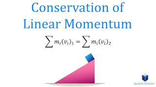 Conservation of Linear Momentum (Learn to solve any problem)