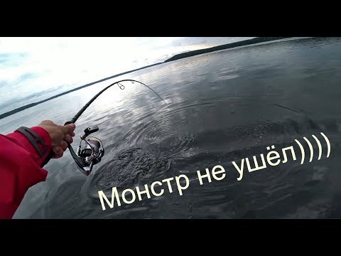 SBS-802H 20-60 грамм