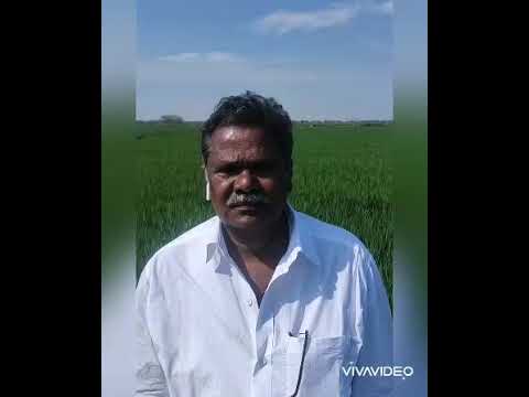 Nijamaina kala ayina | ANR -SUPER HITS | Mooga nomu - 1969