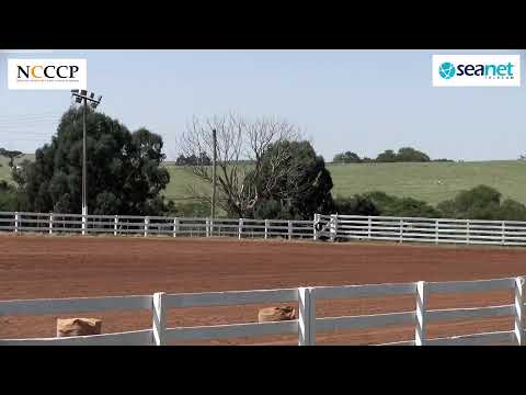 NCCCP -  Bayard Sarmento