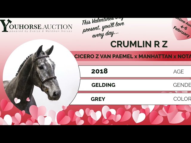Crumlin RZ