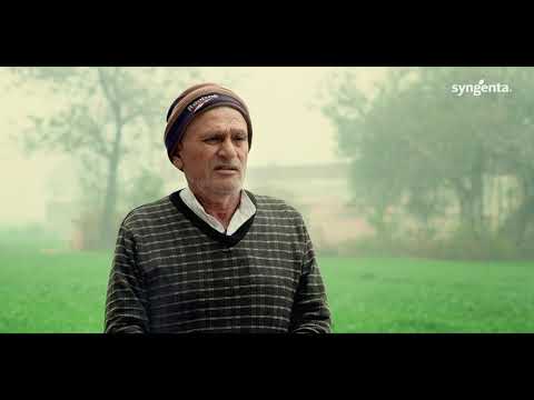 Syngenta RISQ Test | Grower Testimonial | Kurukshetra - Haryana