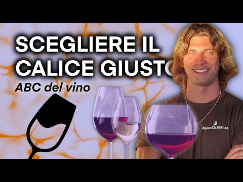 SCEGLIERE IL CALICE GIUSTO: È FONDAMENTALE 🍷🤔