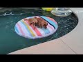 How About A Laugh Part 1 Spadez Funnyvideo Funny