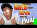 Gato Bros - FINAL (Ultimo Nivel) | en español por fernanfloo