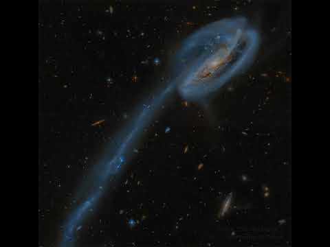 The Tadpole Galaxy from Hubble