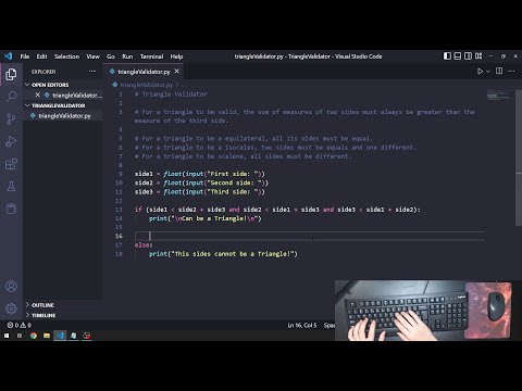 Asmr Programming Coding Triangle Validator With Python No Talking