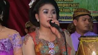Download lagu prawan tuwo - Erna karawitan iromo laras mp3