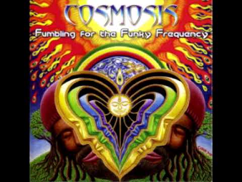 Cosmosis – Fumbling For The Funky Frequency # Mixed Dj Duran  - Psy Trance