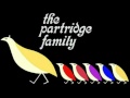 The Partridge Family - That'll Be The Day