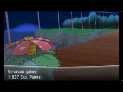 Pokemon X/Y - Walkthrough Part 32 - Route 19