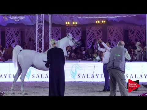 N.281 D MARAKSH - Asharqia Classic 2018