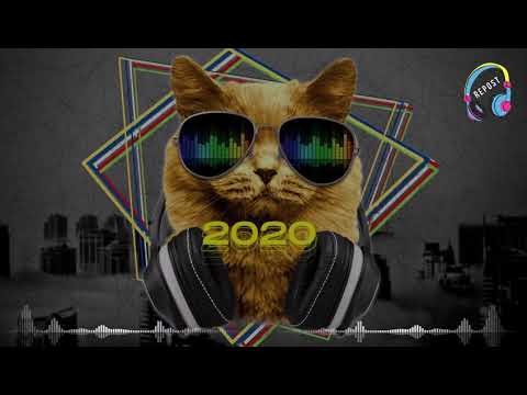 RETROSPECTIVA 2020 | AS MELHORES TRACKS DE 2020 | SÓ TRACK BOA |VINTAGE CULTURE, ALOK & DUBDOGZ