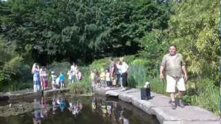 Volker Rosin - Alle Kinder tanzen - Making-of (DVD)