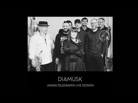 Diamusk - Jungeltelegrafen Live Session