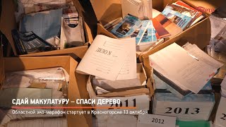 Сдай макулатуру – спаси дерево