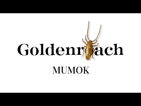 GOLDENROACH 02 / WIEN, 2011