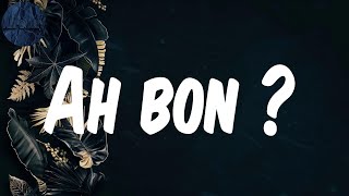(Lyrics) Ah bon ? - Niska