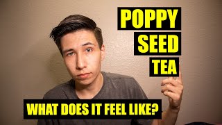 What Is POPPY SEED TEA & What Does It FEEL LIKE?
