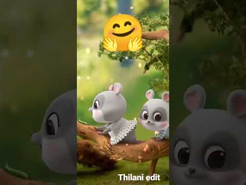 Birthday wish for special one🥰❤️