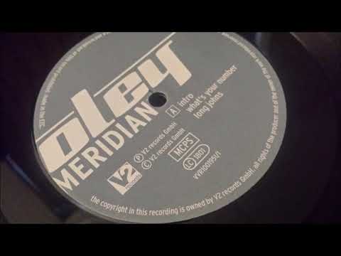 Ian Pooley - Ganz Gag