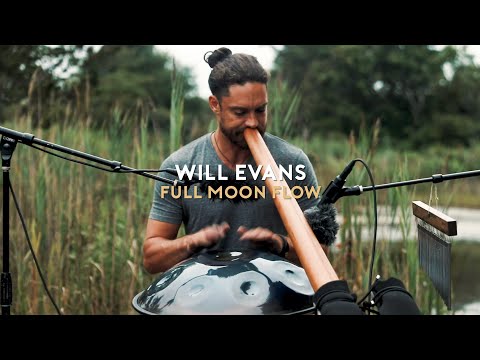 Will Evans - "Full Moon Flow" Live at The Summer Swell