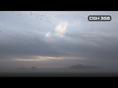 DSH 358 | Atmospheric Deepness & Melodic Grooves