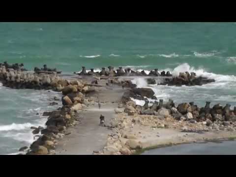 Ma intorc la tine mare albastra-Voce: Daniel Iordachioaie