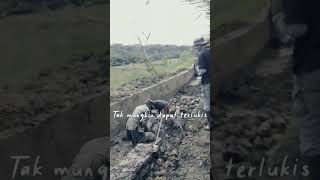 Download lagu rossa - takkan berpaling darimu mp3