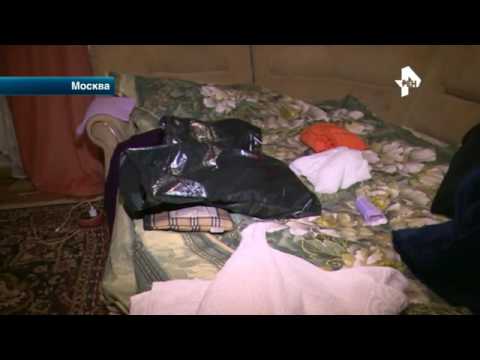 Московская проститутка хотела обсудить с Кэрри реализацию минских соглашений