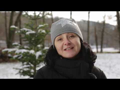 U kaštanu bez obalu - bezobalový obchod v OPAVĚ