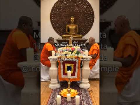 Mettanisamsa Eleven Benefits of Loving Kindness to overcome anxiety Covid19