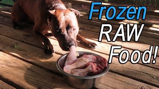 Reasons To Feed Your Dog Frozen RAW Food! (Chicken drumsticks, Liver and Gizzards)