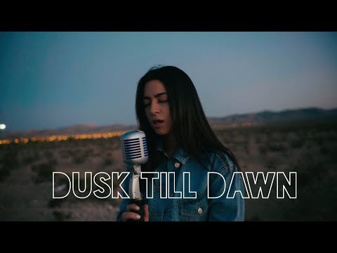 Dusk Till Dawn - Zayn & Sia (Cover)