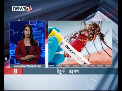 EVENING NEWS FATAFAT - NEWS24 TV