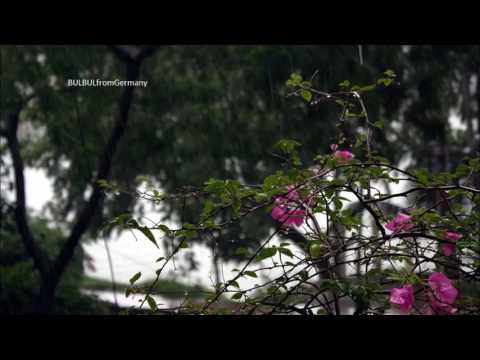 Daiyare Daiyare Kanta Chubha by Runa Laila & Rafiq Chaudhury