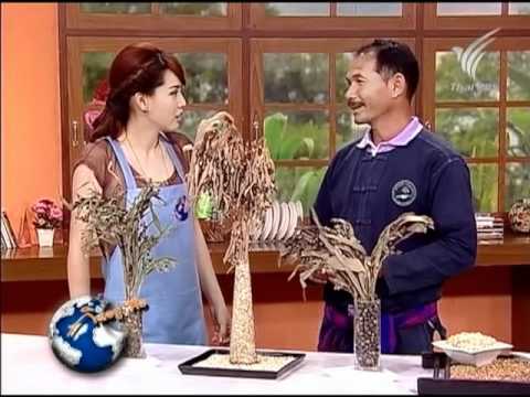 ครีมกลากบนเปลือกตา Neurodermatitis สารานุกรมการแพทย์
