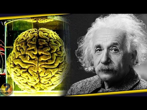 O que tinha no CÉREBRO DE EINSTEIN? - O INCRÍVEL ESTUDO DO CÉREBRO DO ALBERT EINSTEIN