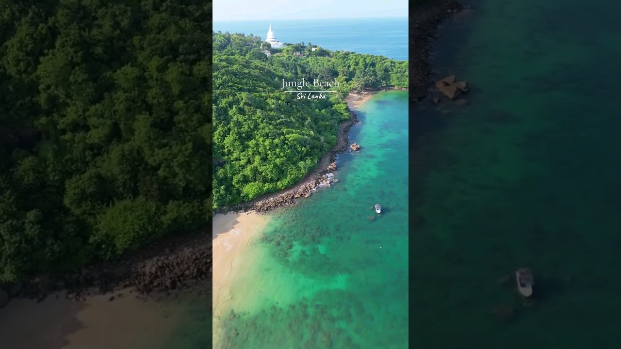 YouTube Short thumbnail